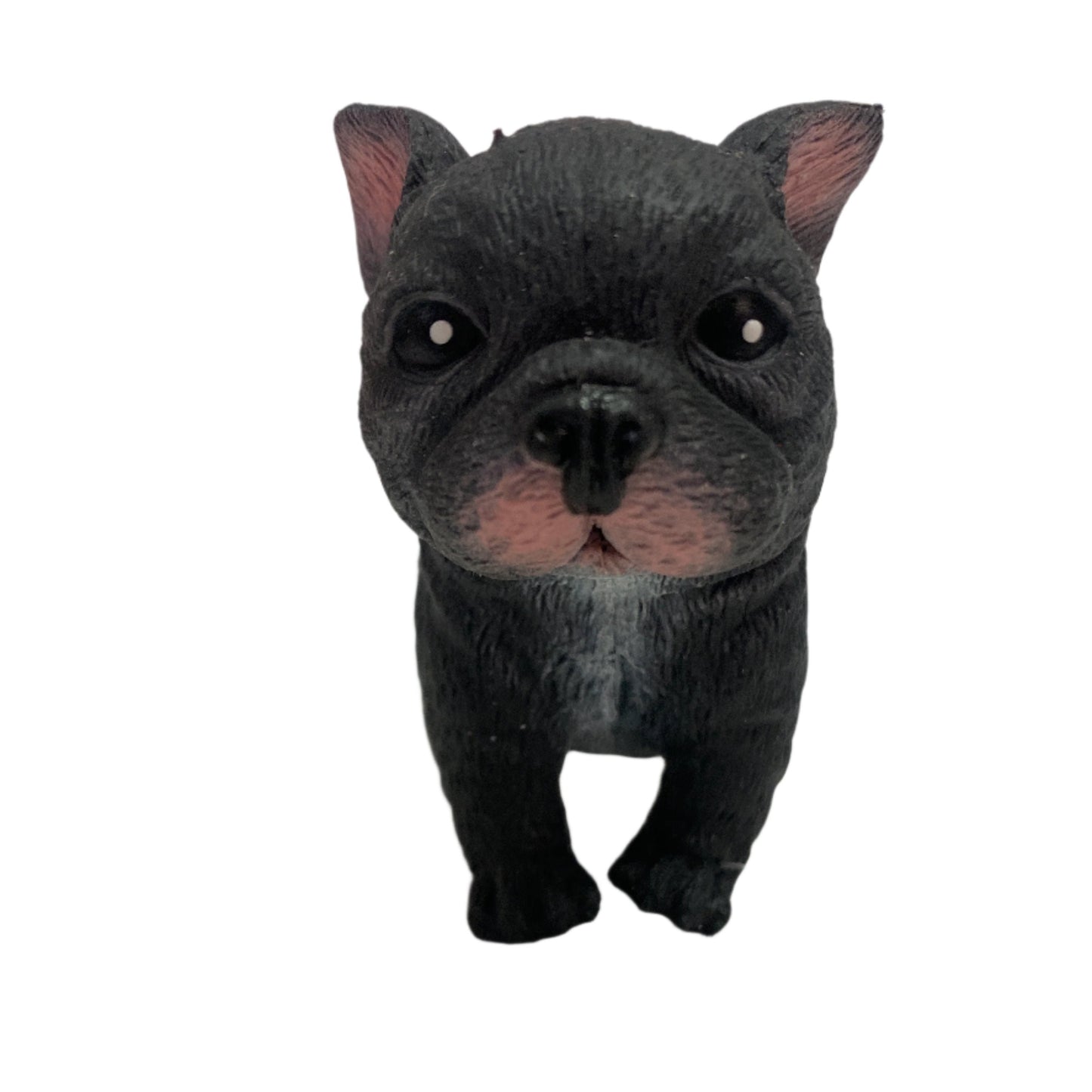 Black Squidgy Frenchie