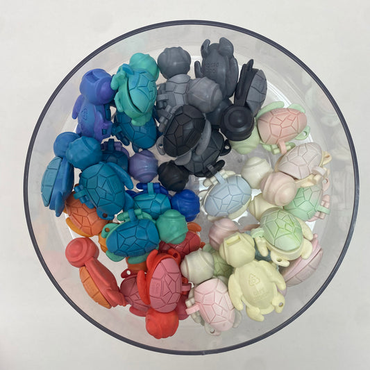 calm buddi turtles at Sensory Play Store