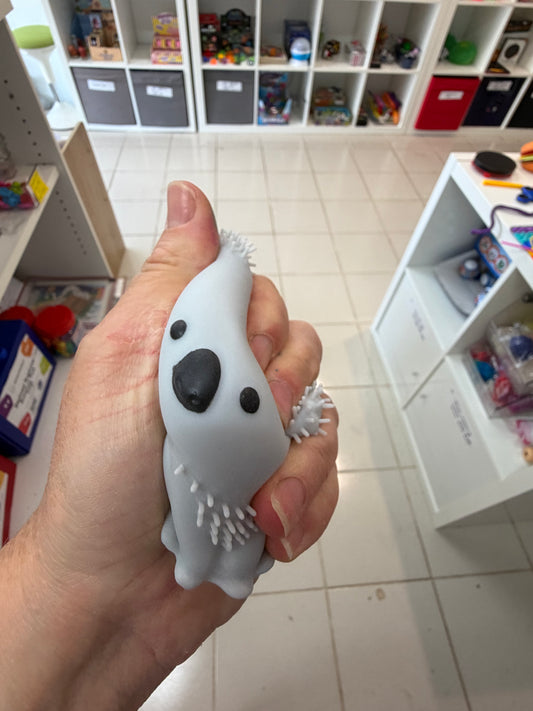 Aussie Fidget Pack- Australia