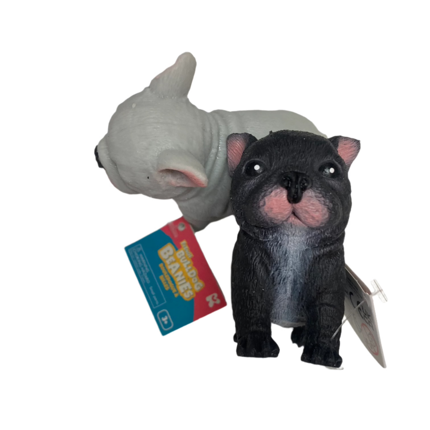 Cute Beanie French Bulldog