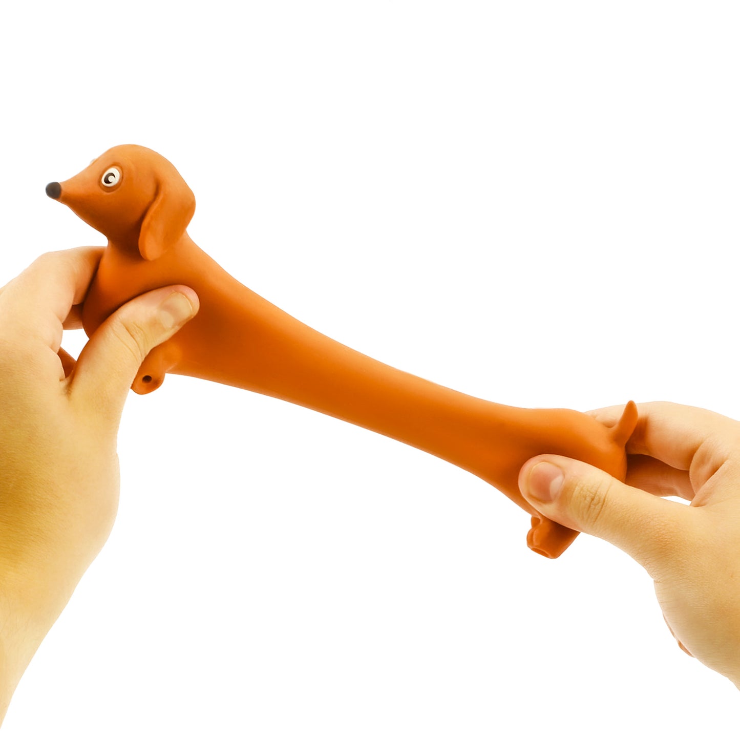 Stretch Dachshund toy dog