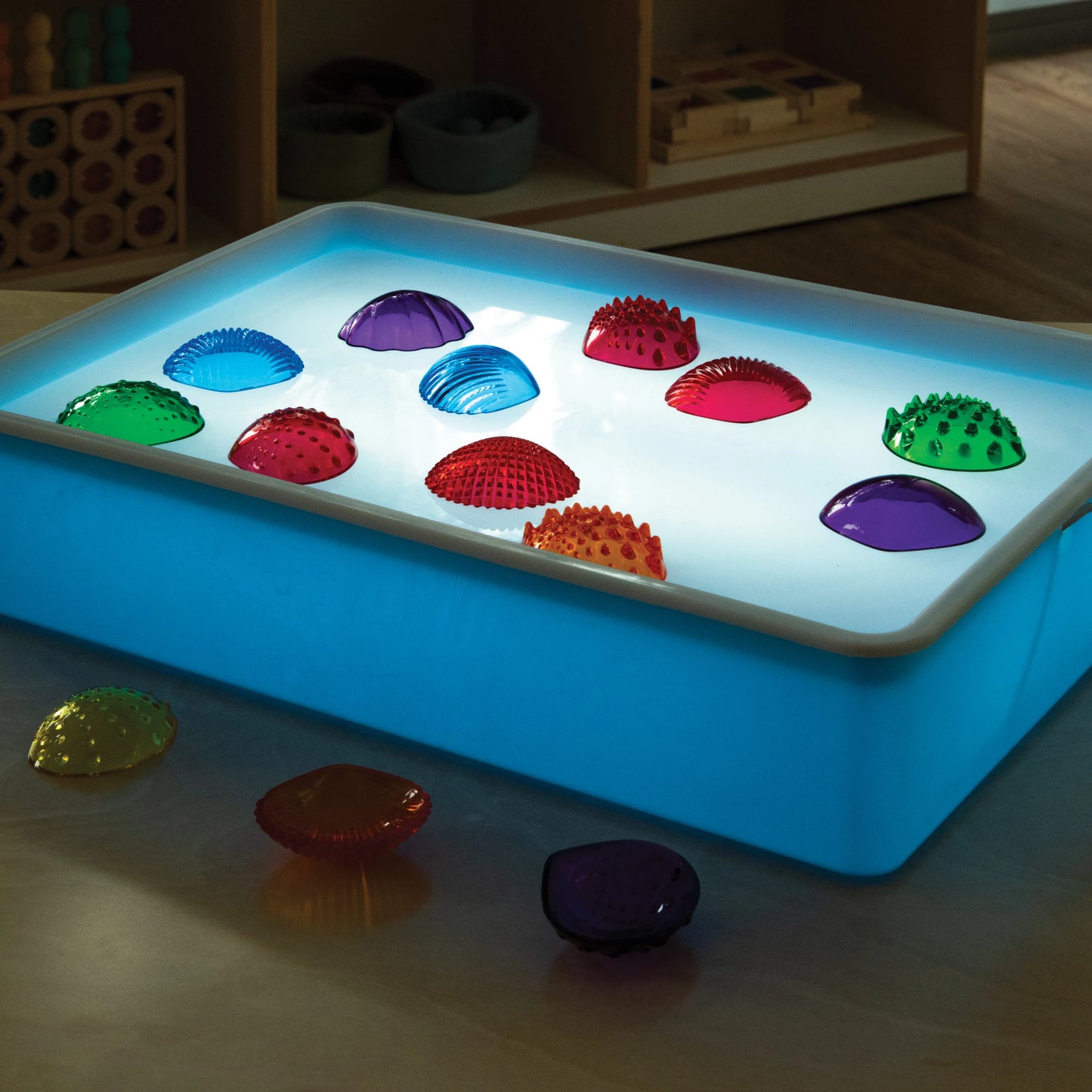 Lightbox with sensory shells on top