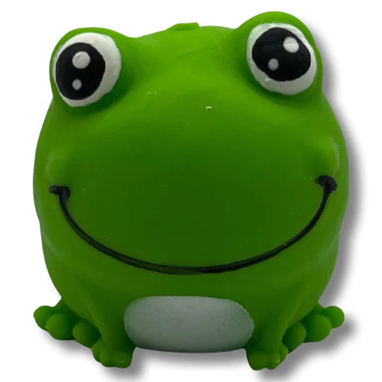 Squishy frog