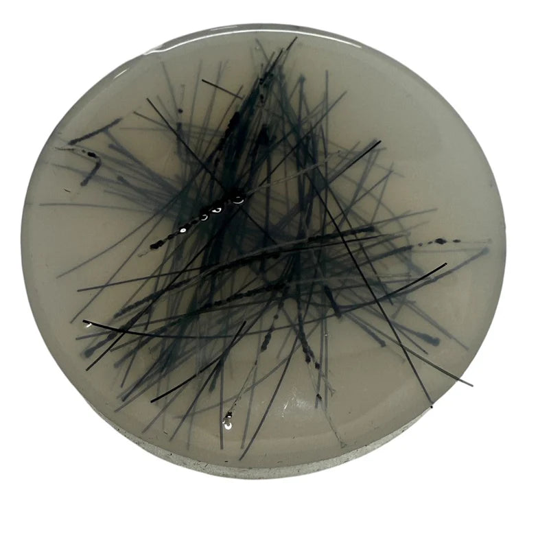 Pick 'Em Starter Set | Kaiko