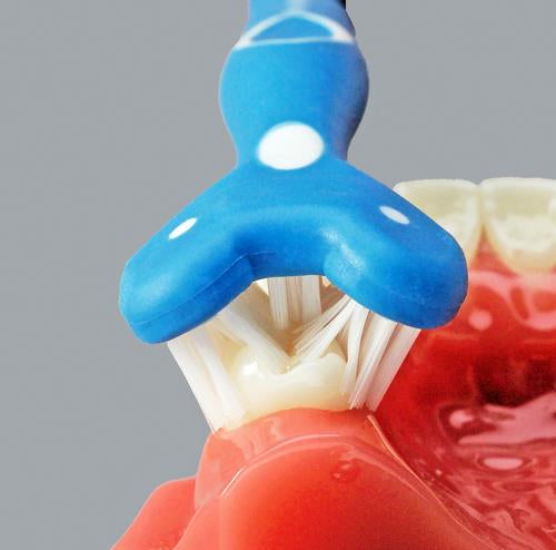 3-sided toothbrush showing  brushing action on teeth