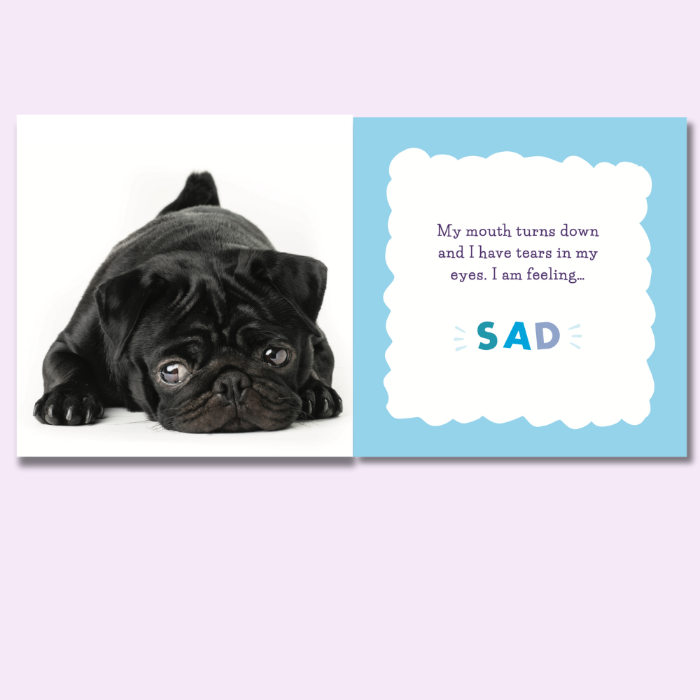 Black Pug feeling Sad