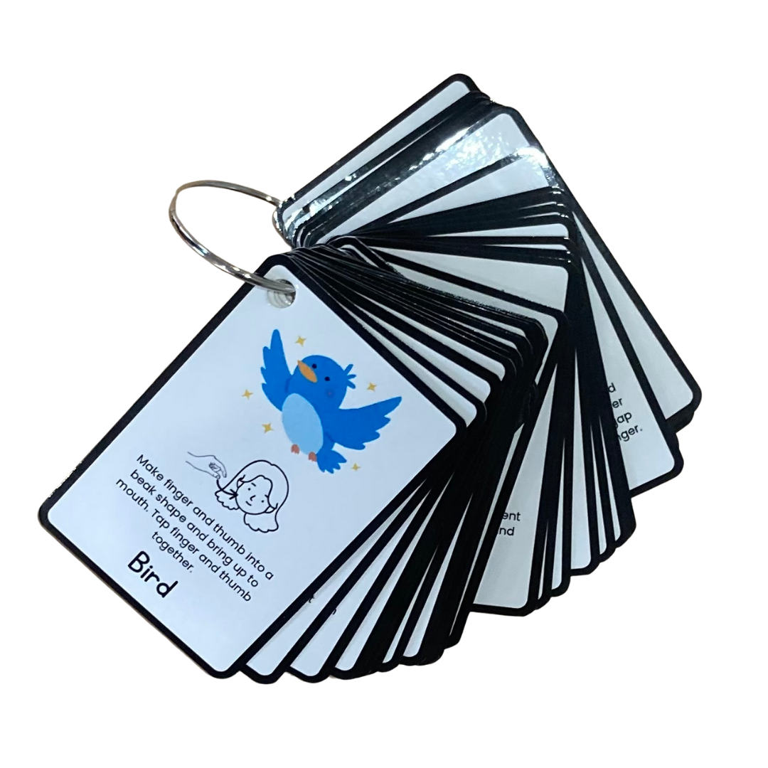 Sensory Play Store AUSLAN Key Word Sign cards