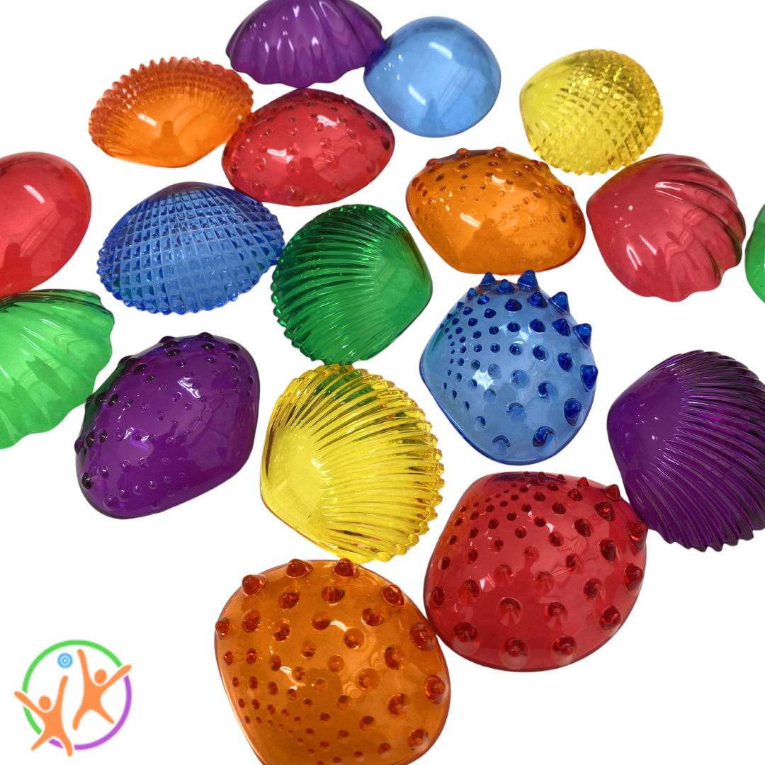 Translucent sensory shells close up on a white background