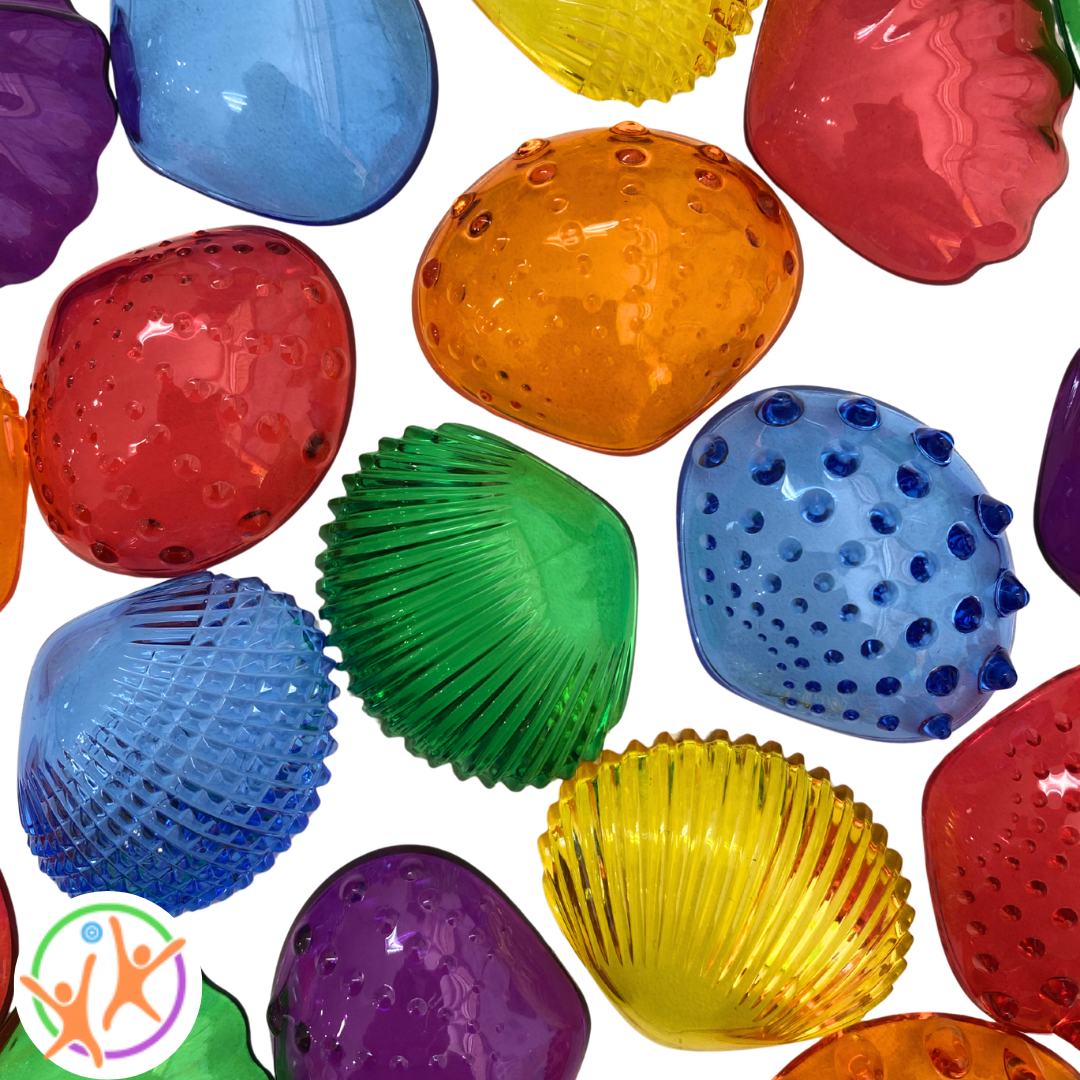 Close up of translucent sensory shells