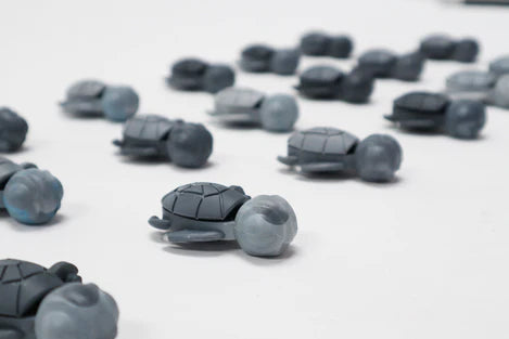 Storm Calm Buddy turtles