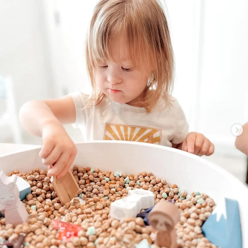 Child playing with toys in a sensory tray filled with beans.