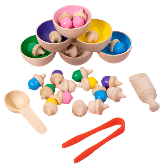 Wooden Acorn Colour Sorting Set Preschool